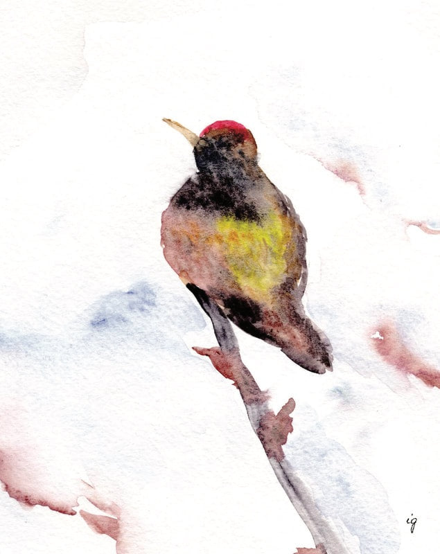 Hummingbird Greeting Card