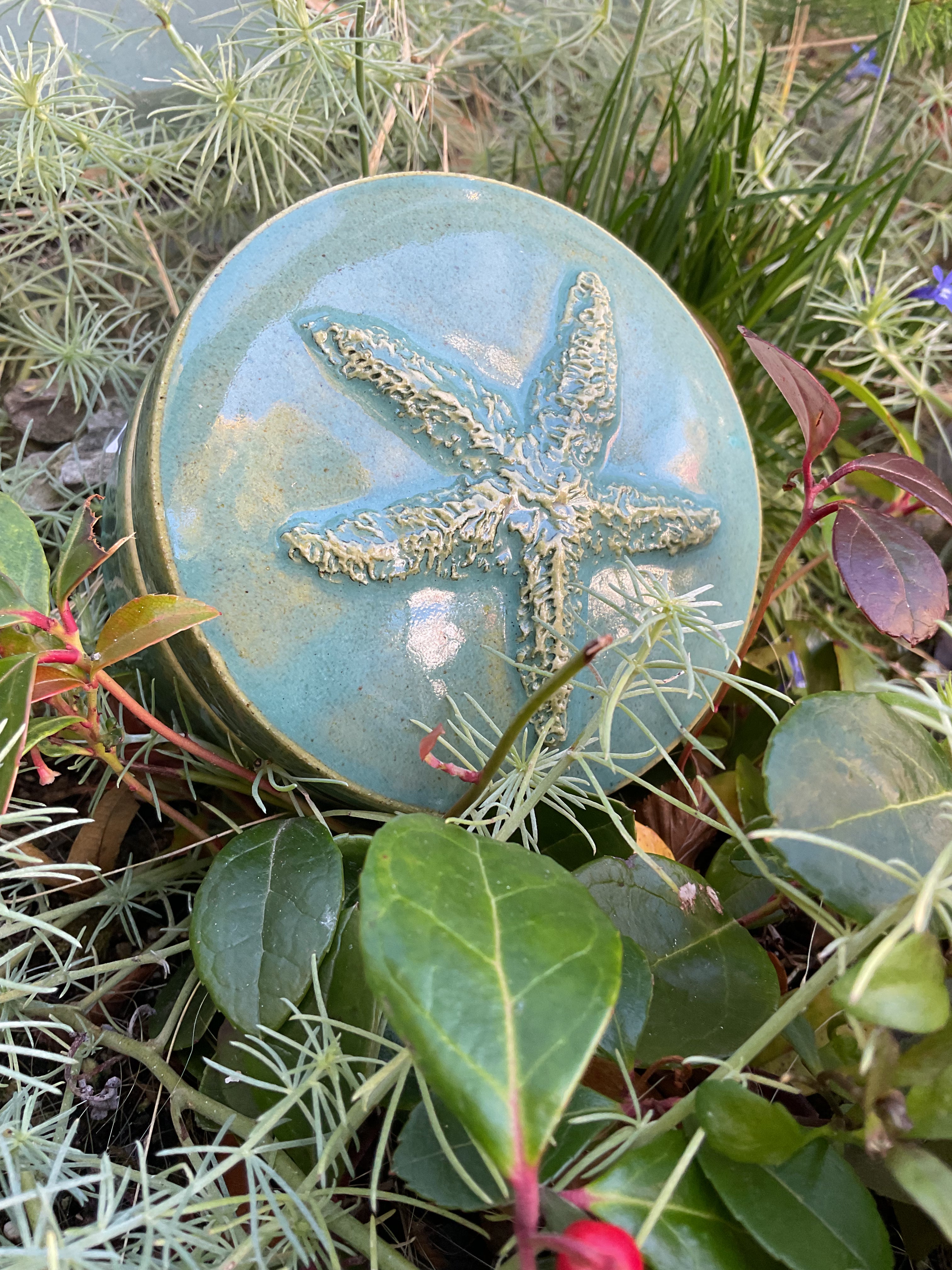 Trinket Box by Barbara Goodfellow-Childs