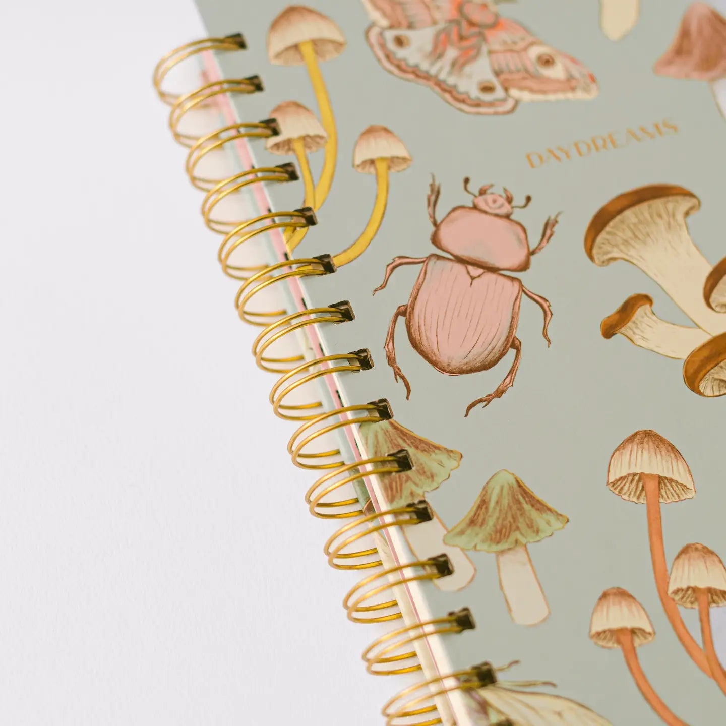 Insects and Mushrooms Spiral Notebook