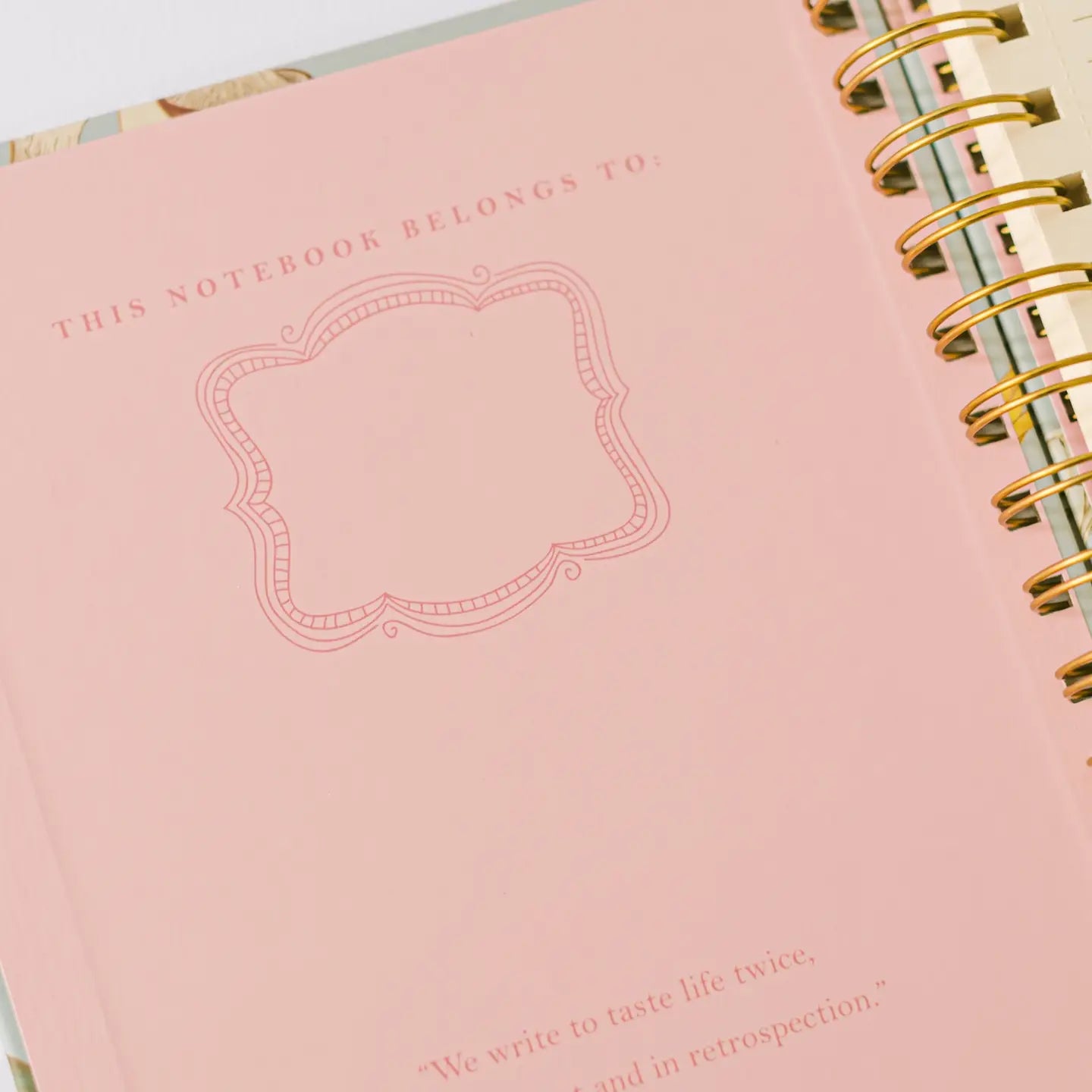 Insects and Mushrooms Spiral Notebook