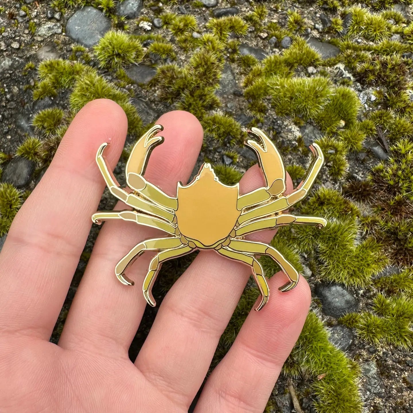 Kelp Crab Enamel Pin