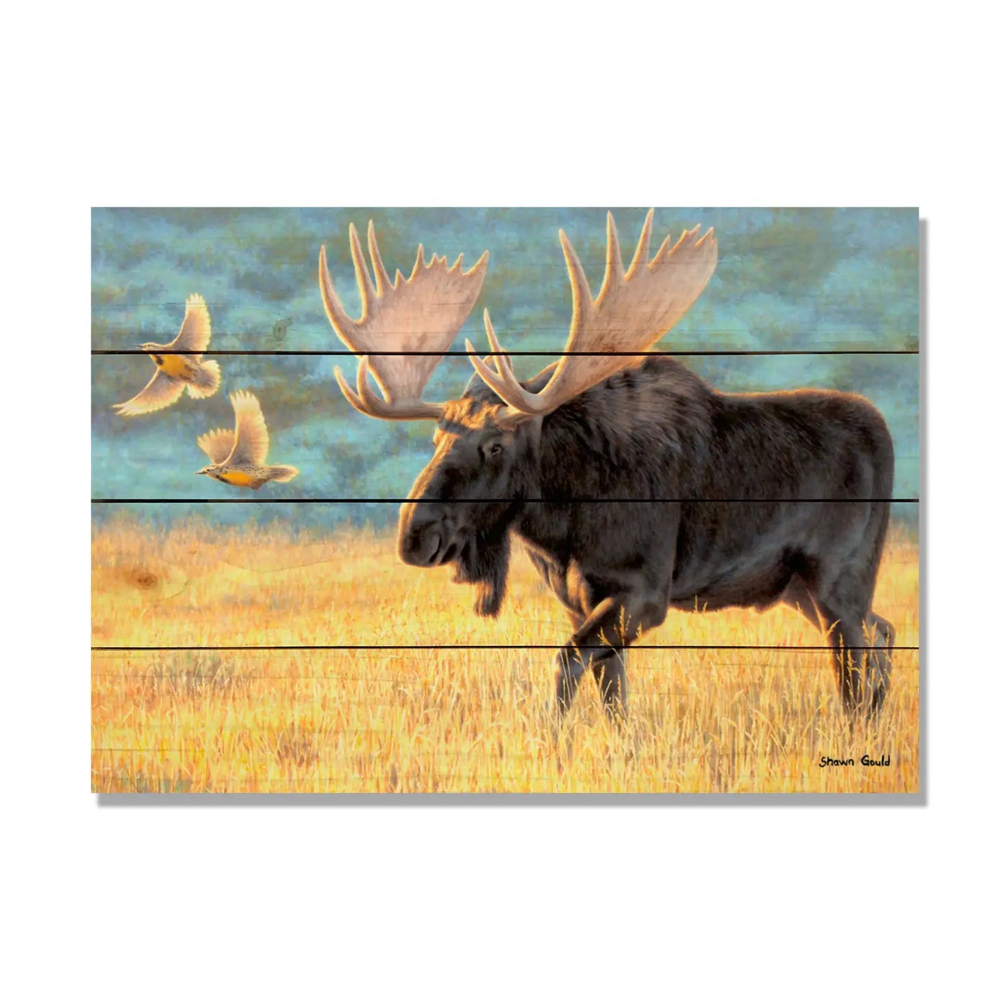 Meadow Bull Moose Wood Print