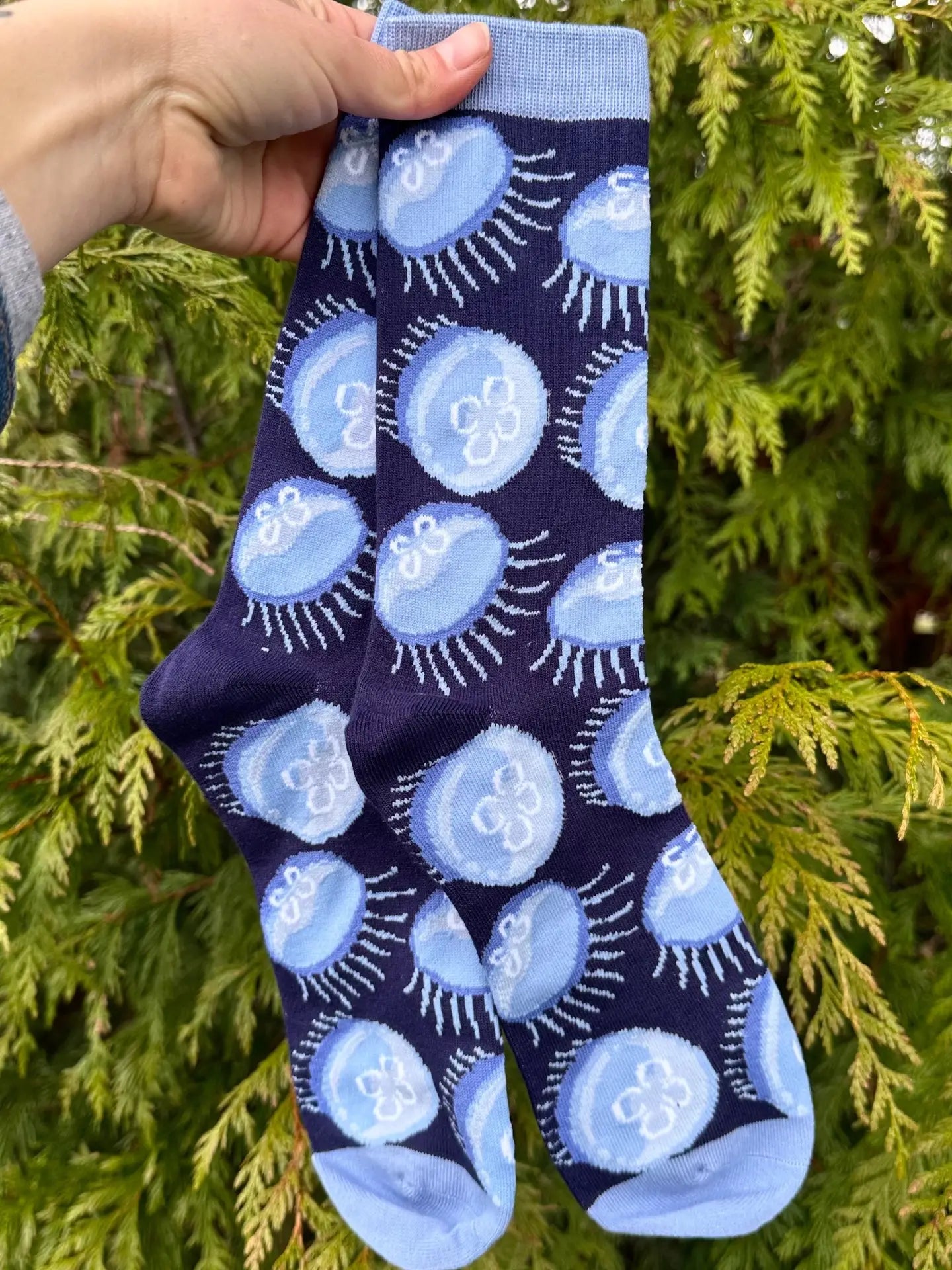 Moon Jellies Jellyfish Socks