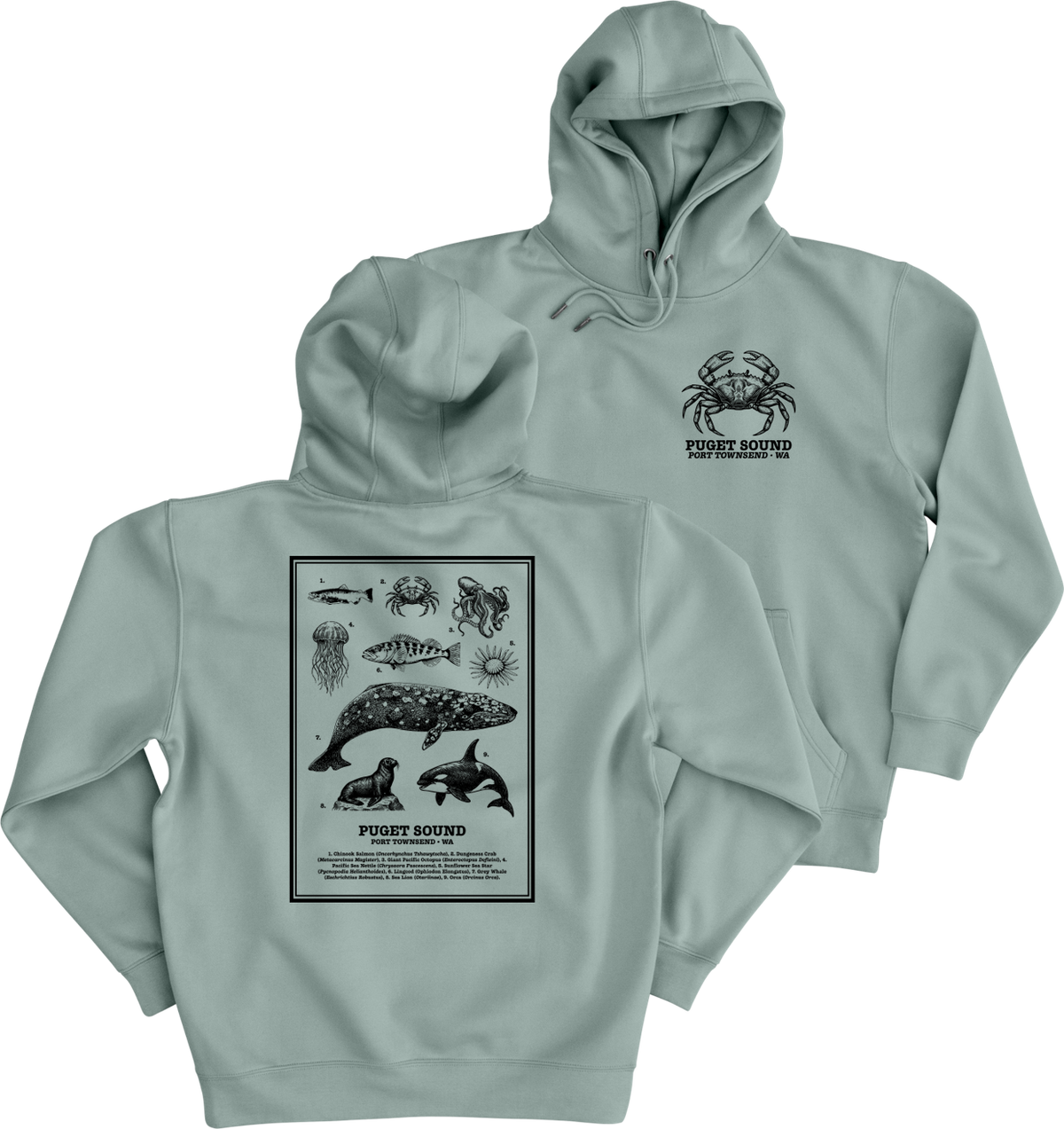 Port Townsend - Puget Sound Marine Guide Hoodie | Basil