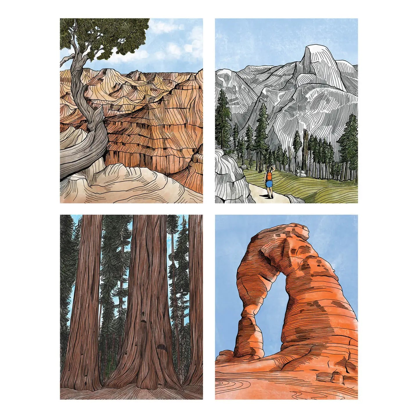 National Parks Notecard Box Set