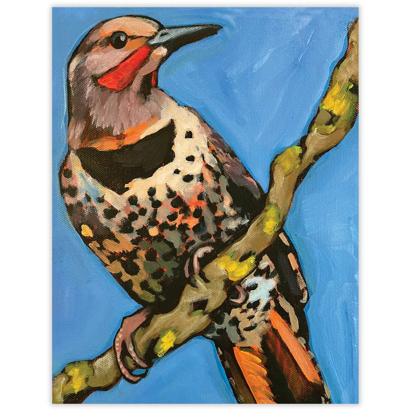 Northern Flicker Bird Note Card