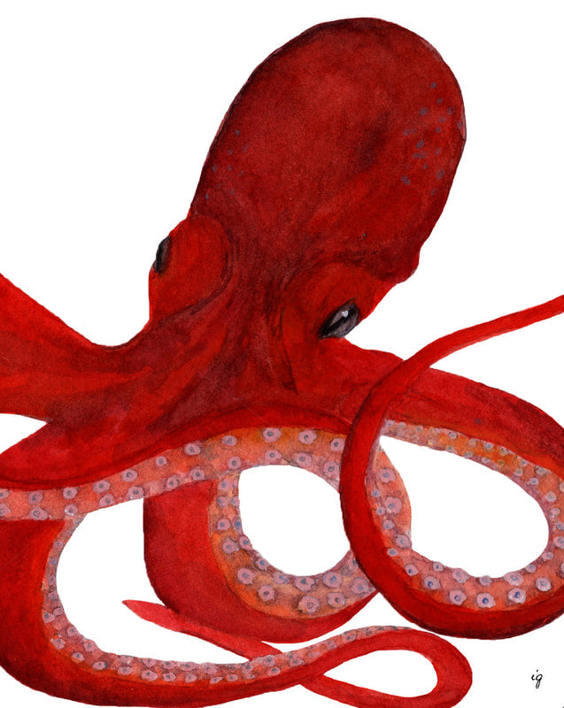 Octopus Print