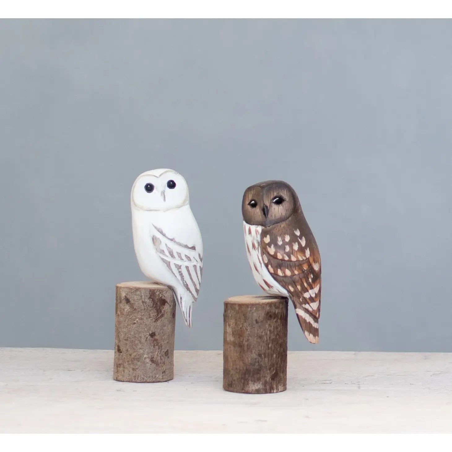 Barred Owl (Mini) -5"H