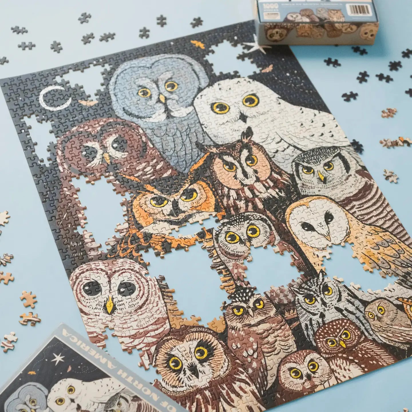 Owls of North America (1,000 Piece Puzzle)