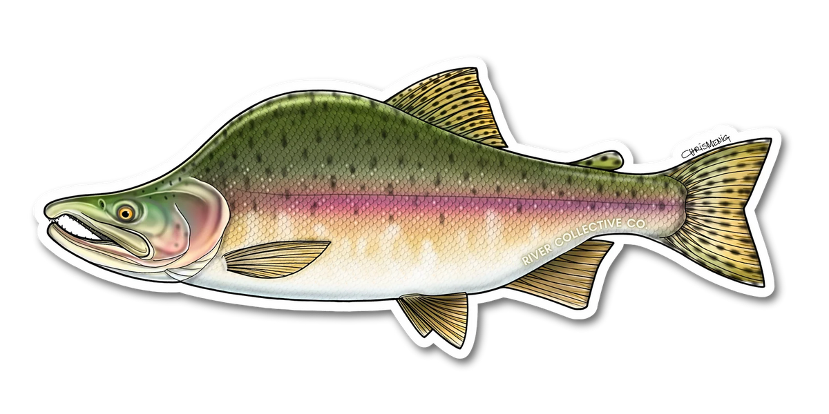 PINK SALMON (SPAWN) DECAL Sticker