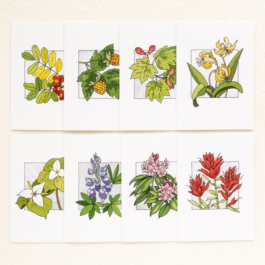 PNW Native Plants - Card Set