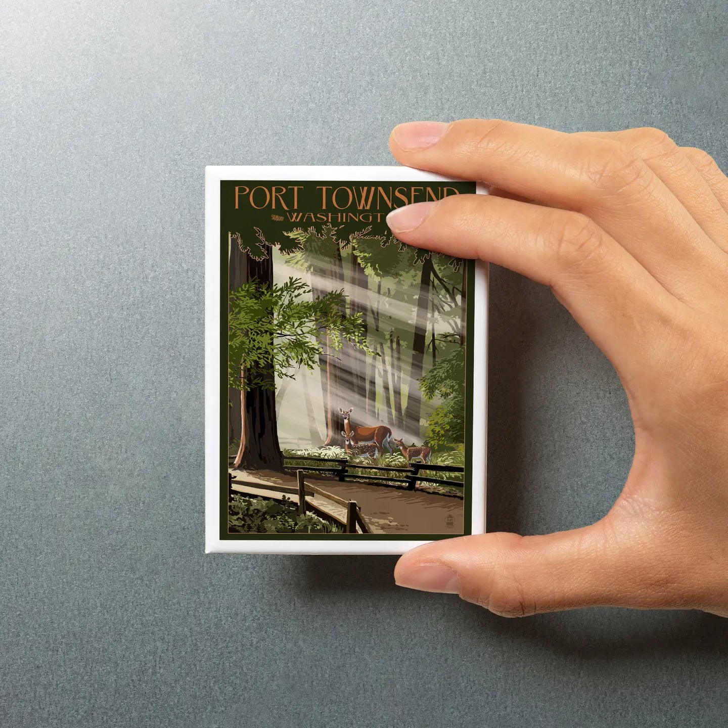 Port Townsend, Washington Deer and Fawns Magnet