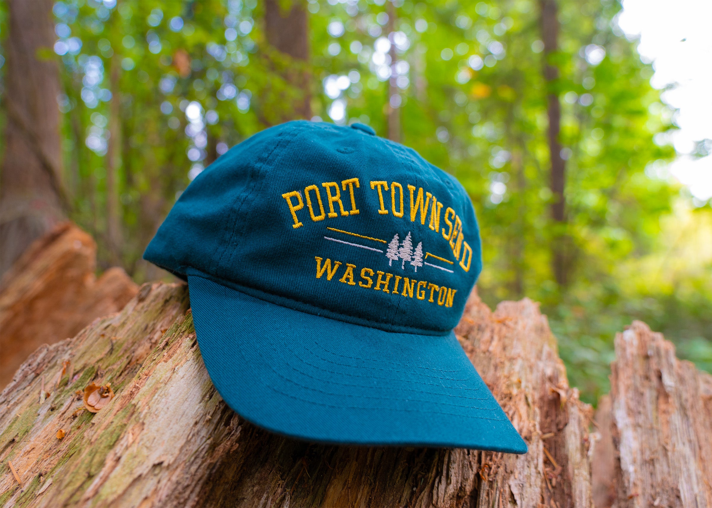 Port Townsend Pines Hat Green