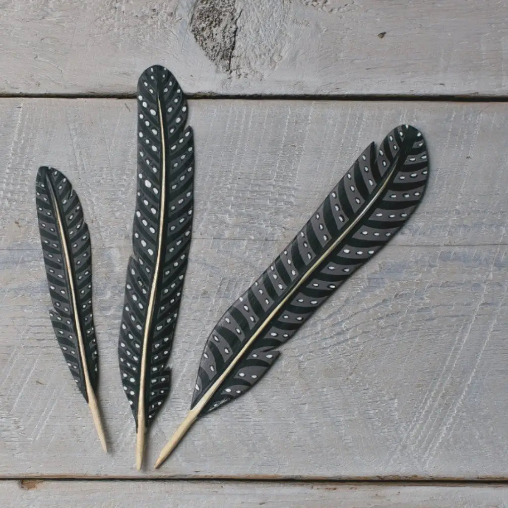 Feathers Painted - Quail - 3pc - 7-9"H