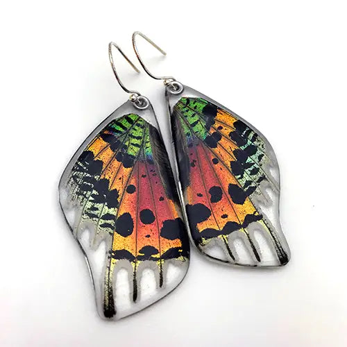 Urania Ripheus Sunset Moth- Butterfly Earrings