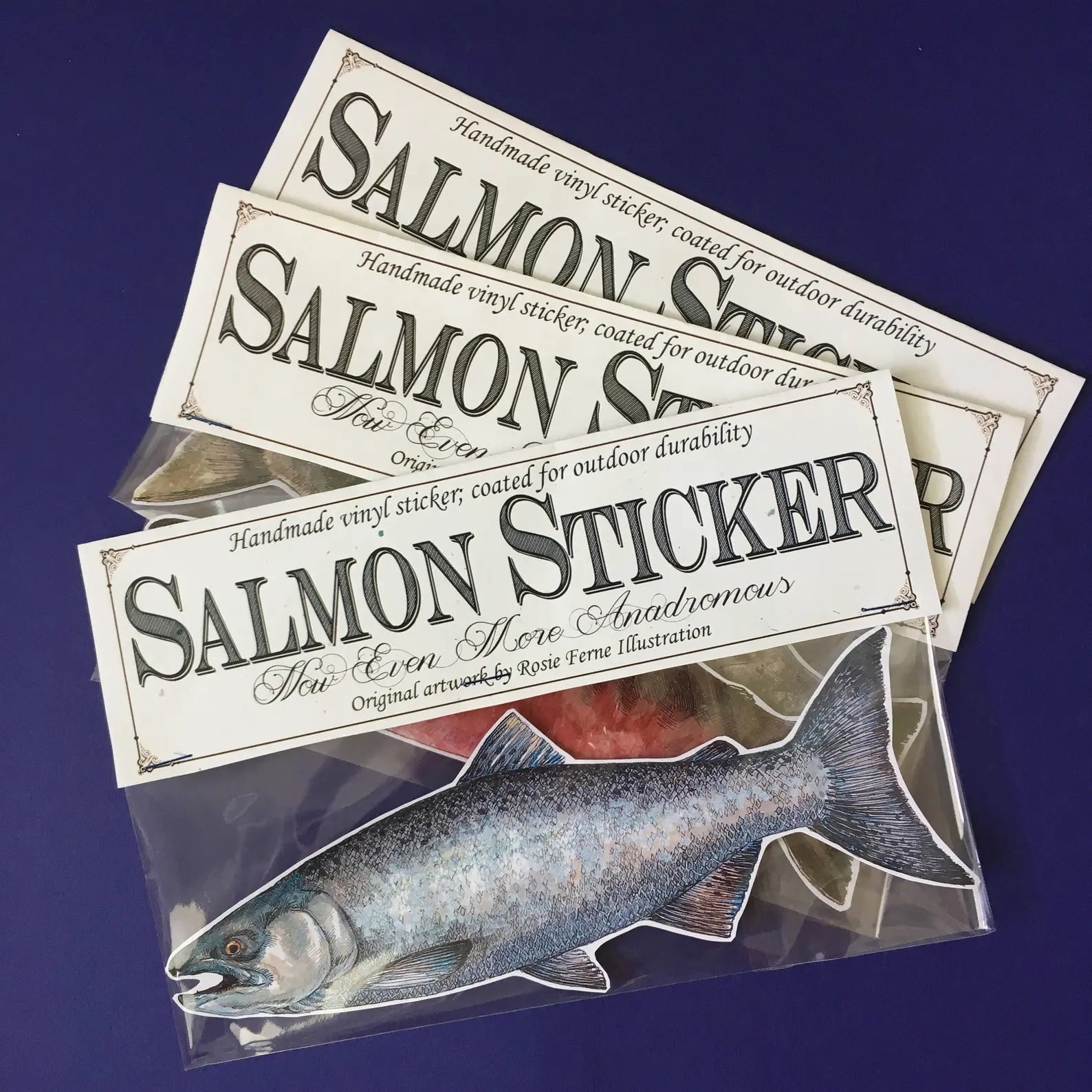 Salmon Sticker