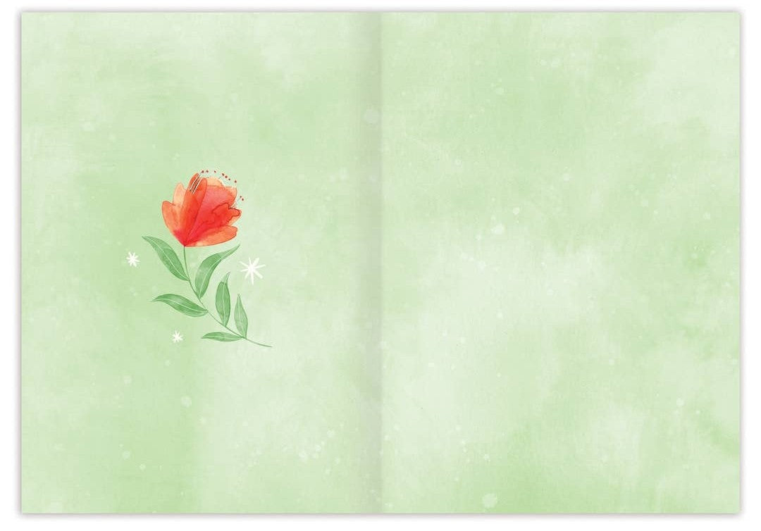 Feliz Navidad Boxed Holiday Cards