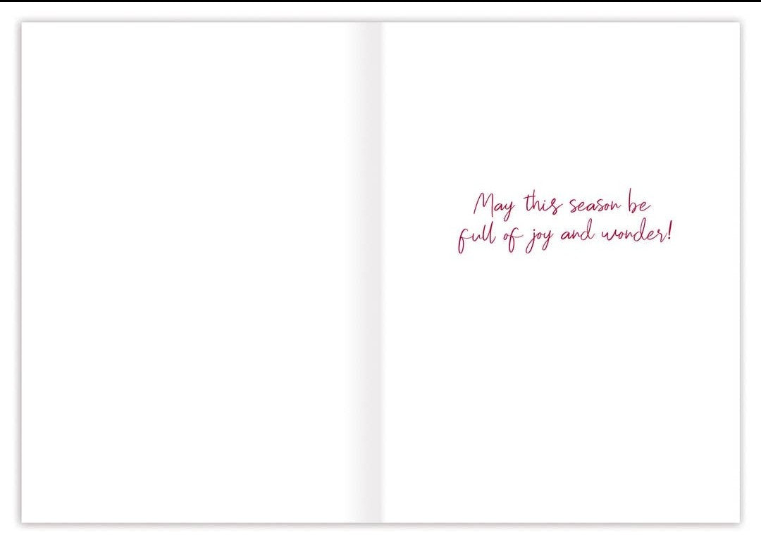 Santa in the Sky Boxed Holiday Cards