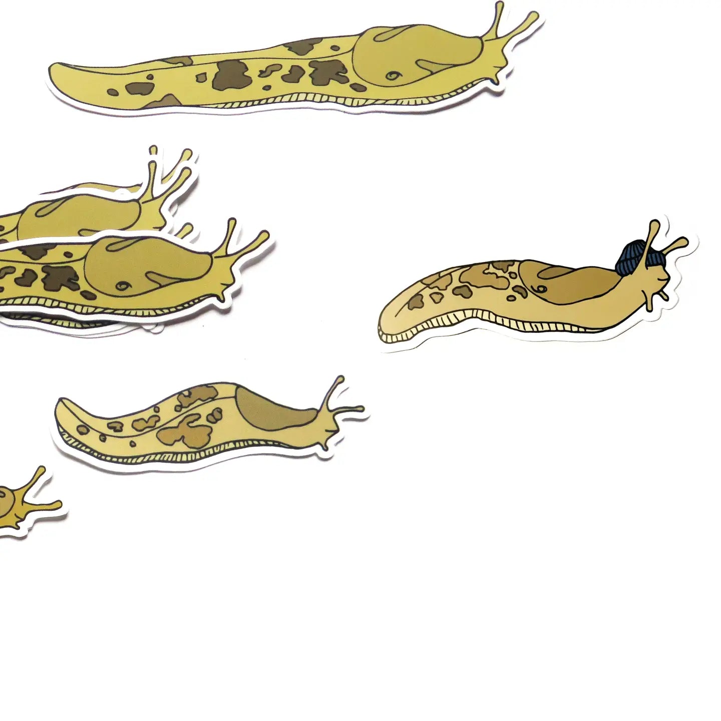 Slug Sticker with blue beanie