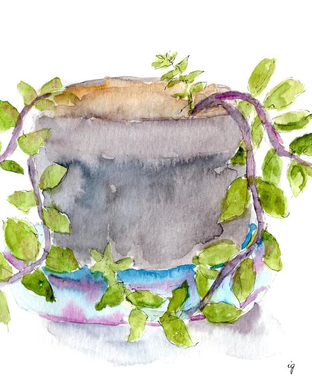 Succulent Greeting Card