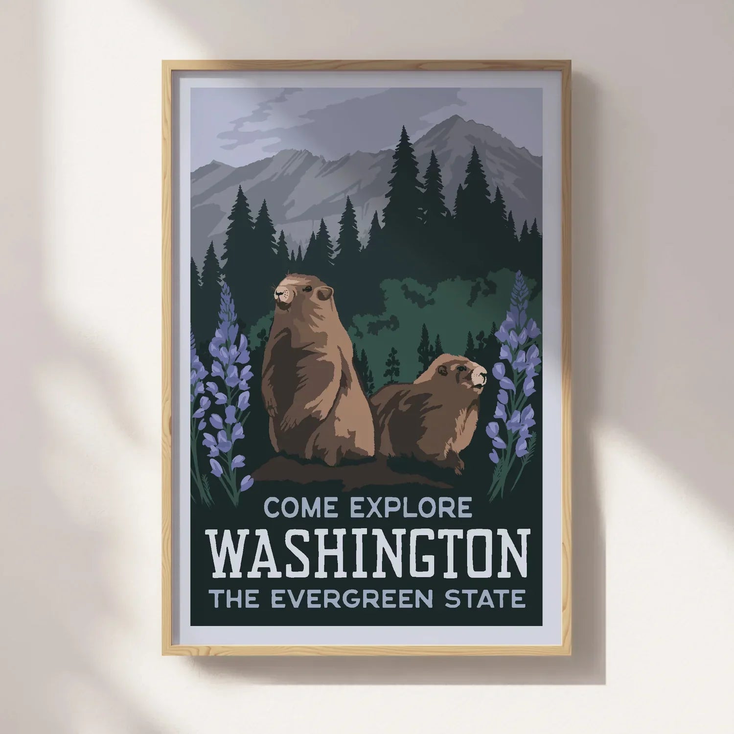 Washington State Olympic Beaver Travel Postcard