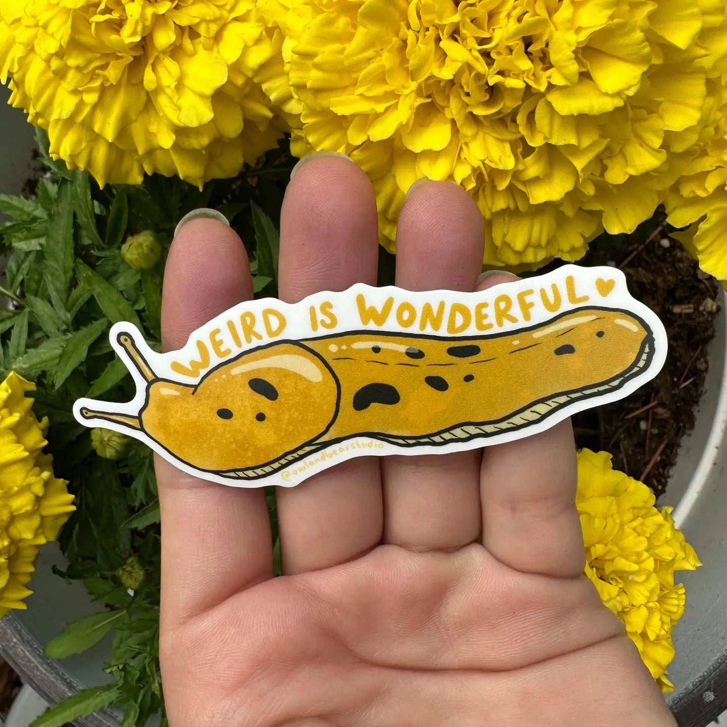 Weird is Wonderful Banana Slug Sticker