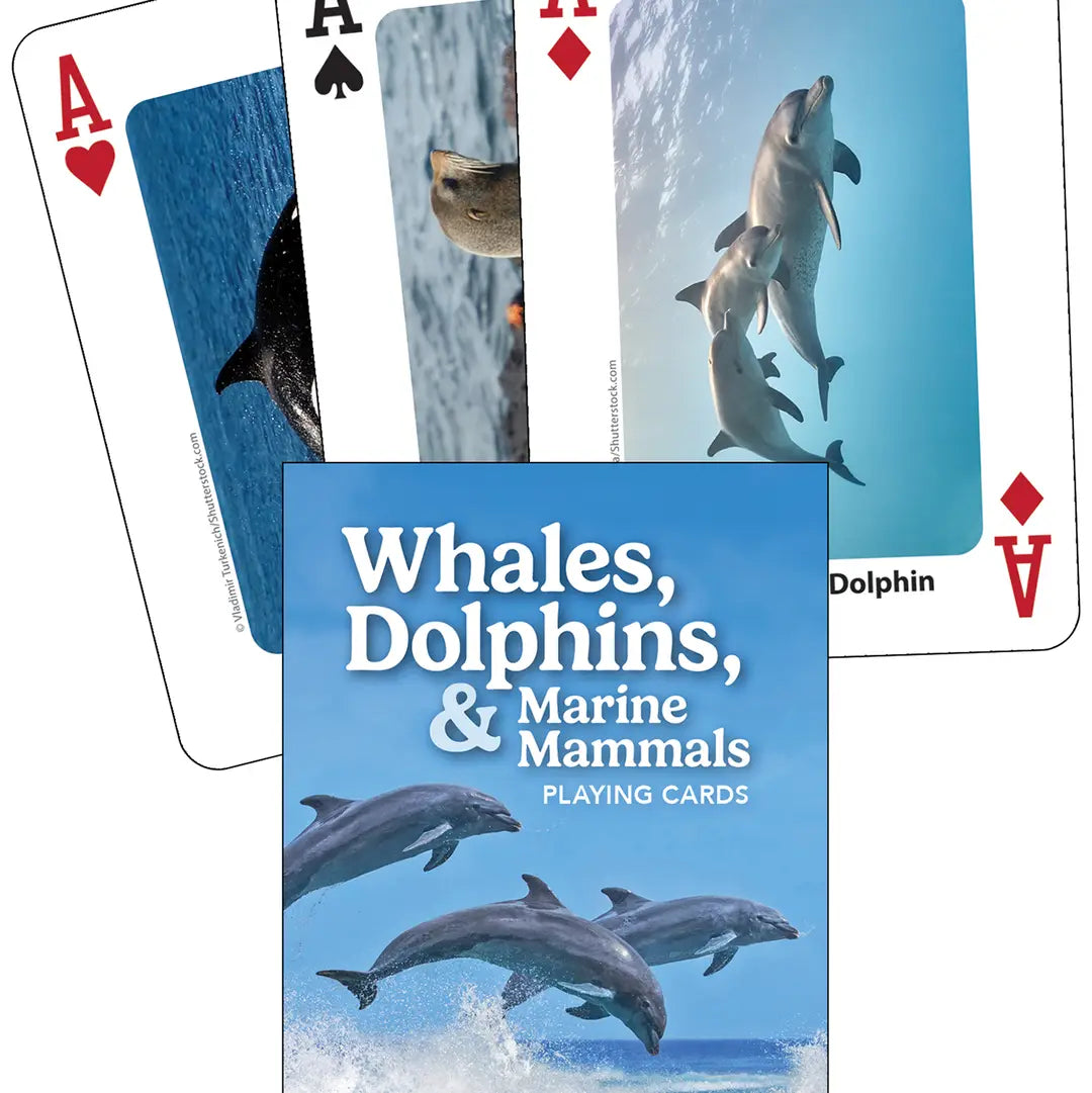 Whales, Dolphins, and Marine Mammals Playing Cards