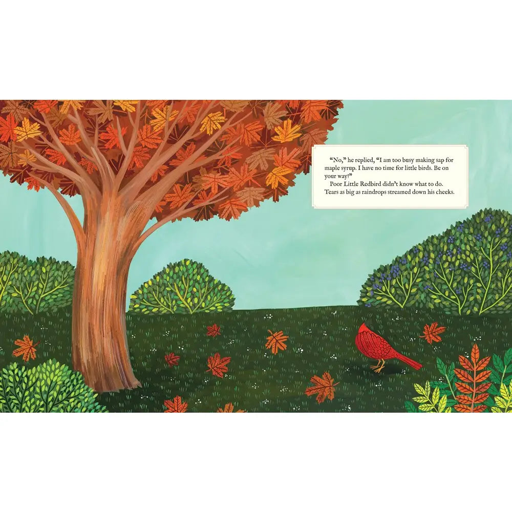 Why Evergreens Keep Their Leaves