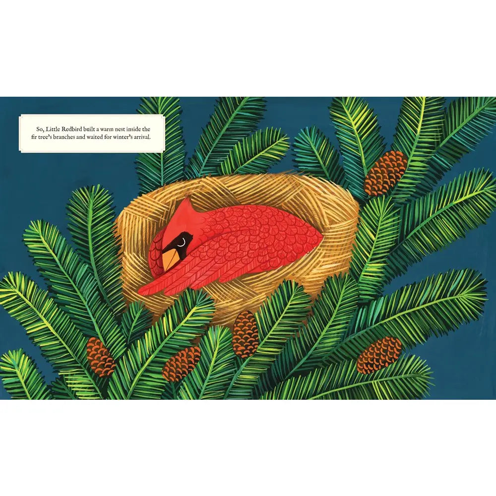 Why Evergreens Keep Their Leaves