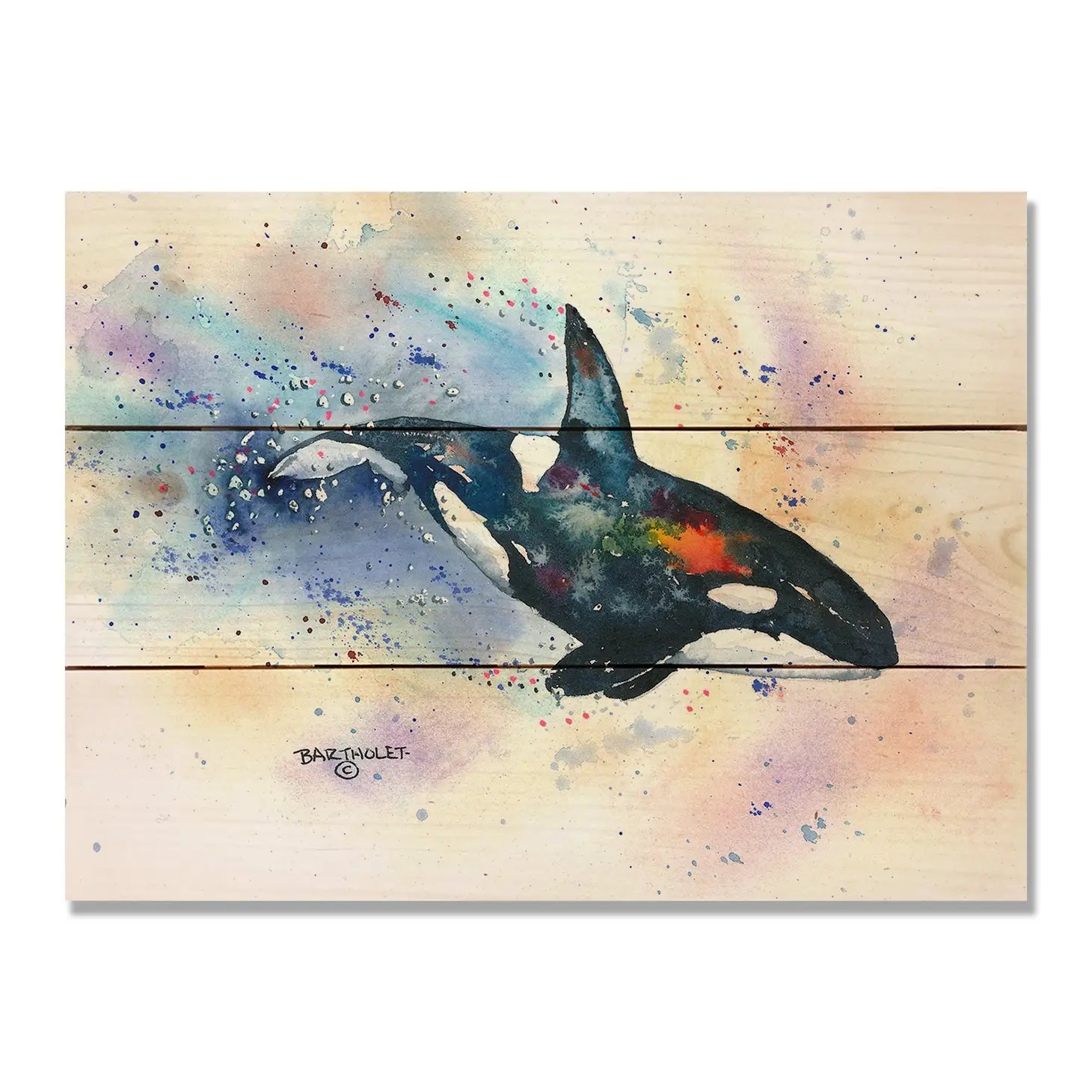 Orca Wood Print