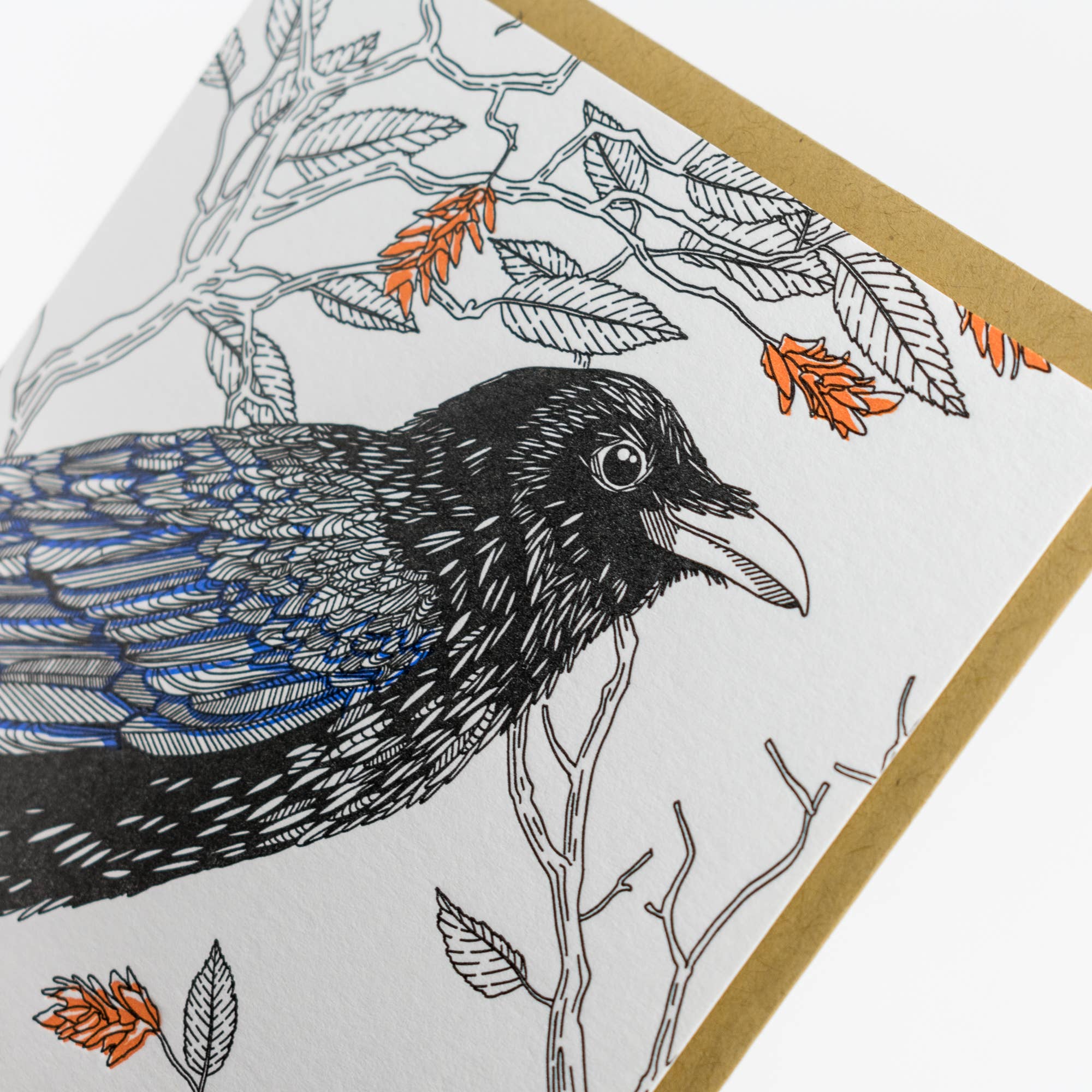 Common Raven Card - West Coast Birds: Single Card
