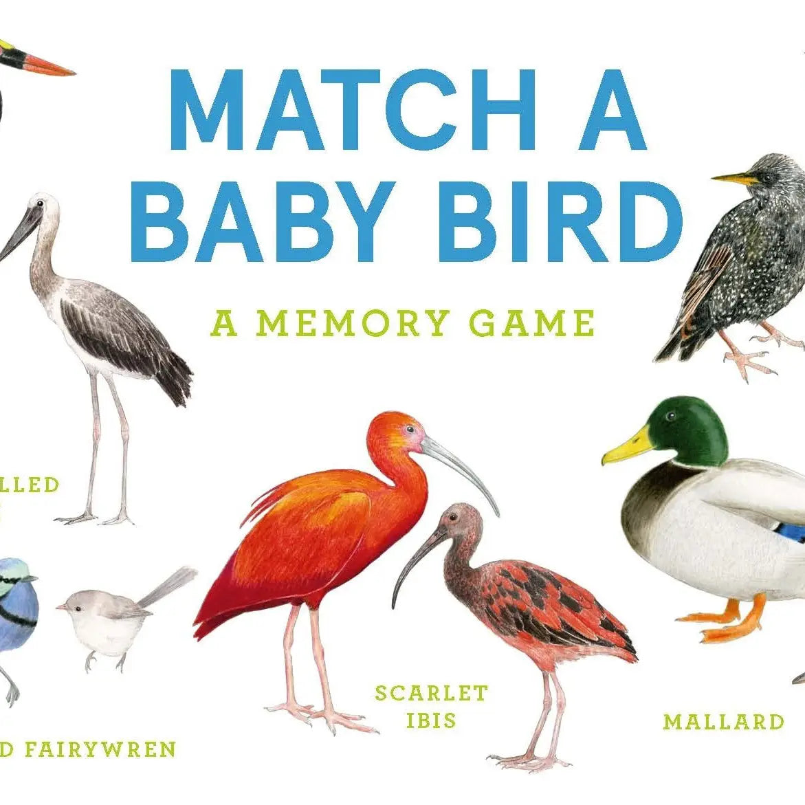 Match a Baby Bird Memory Game