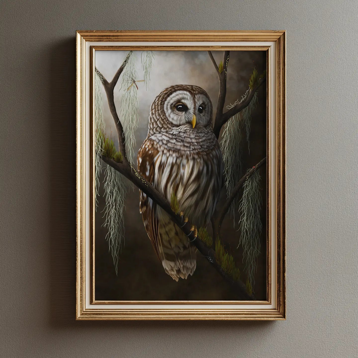 Barred Owl & Moss Lichen Fine Art Print