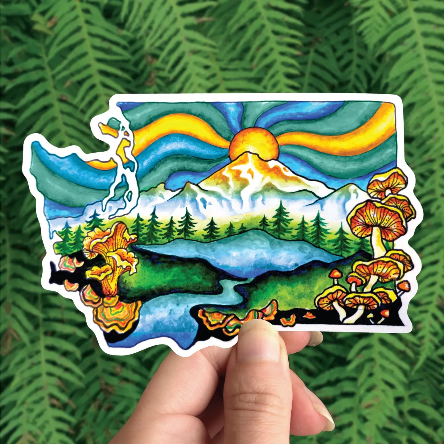 Washington Forage - Vinyl Sticker Art -Pnw Mushroom Mountain