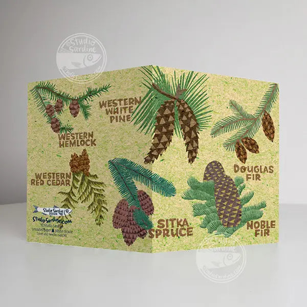 Cones and Needles Note Card