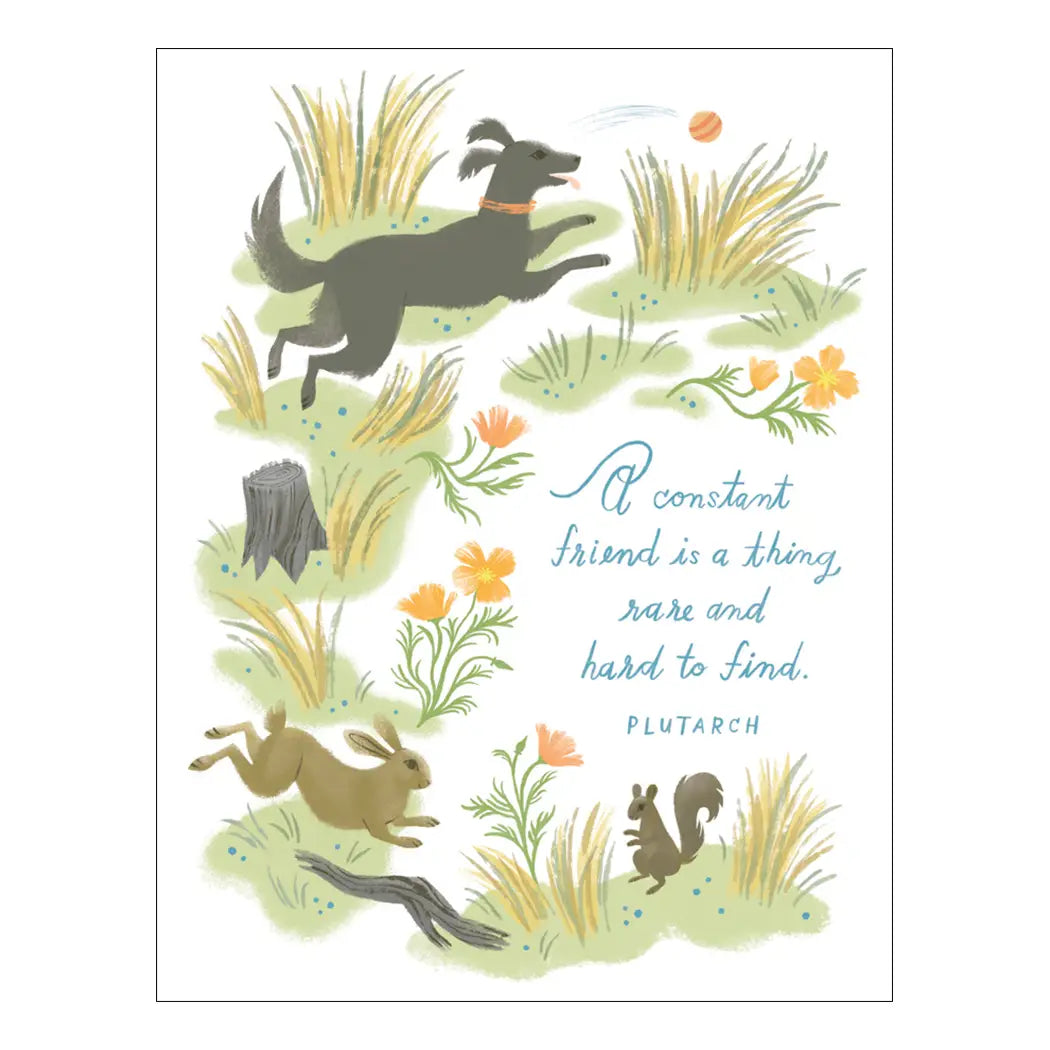 A Constant Friend Thing rare and Hard to Find