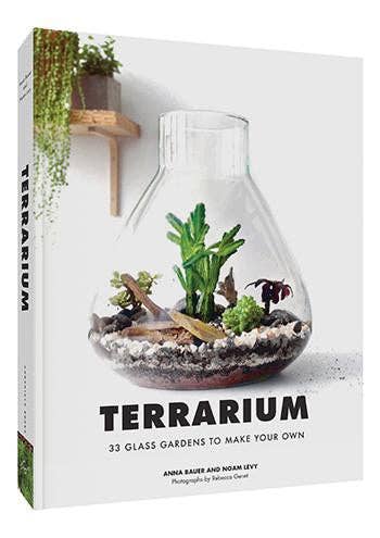 Terrarium - 33