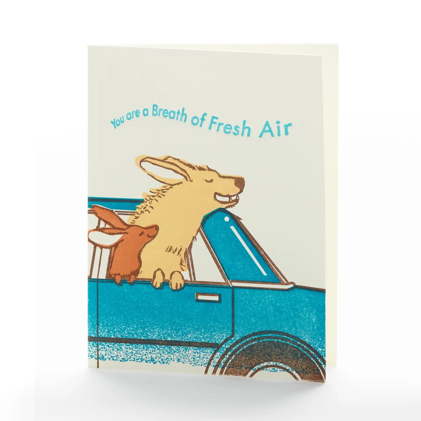 You Are A Breath of Fresh Air Note Card
