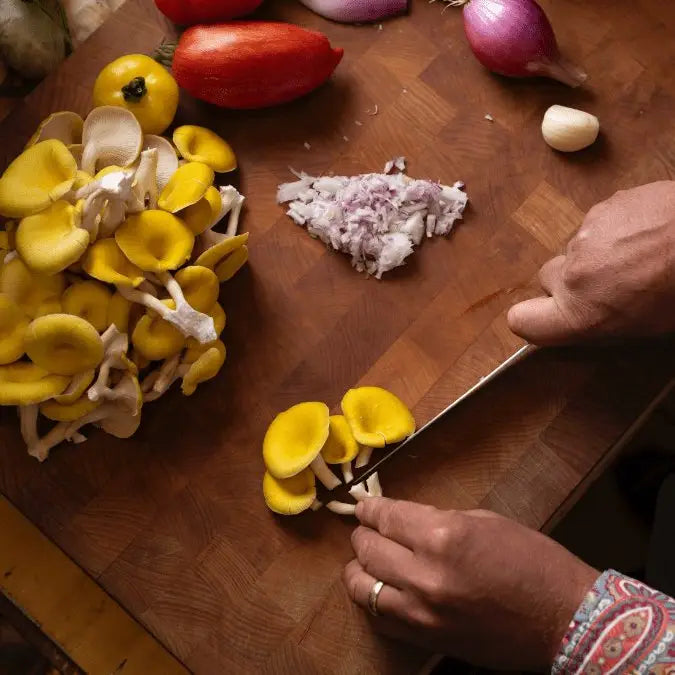 Foragers Gallery- Golden Oyster Live Mushrooms Kit