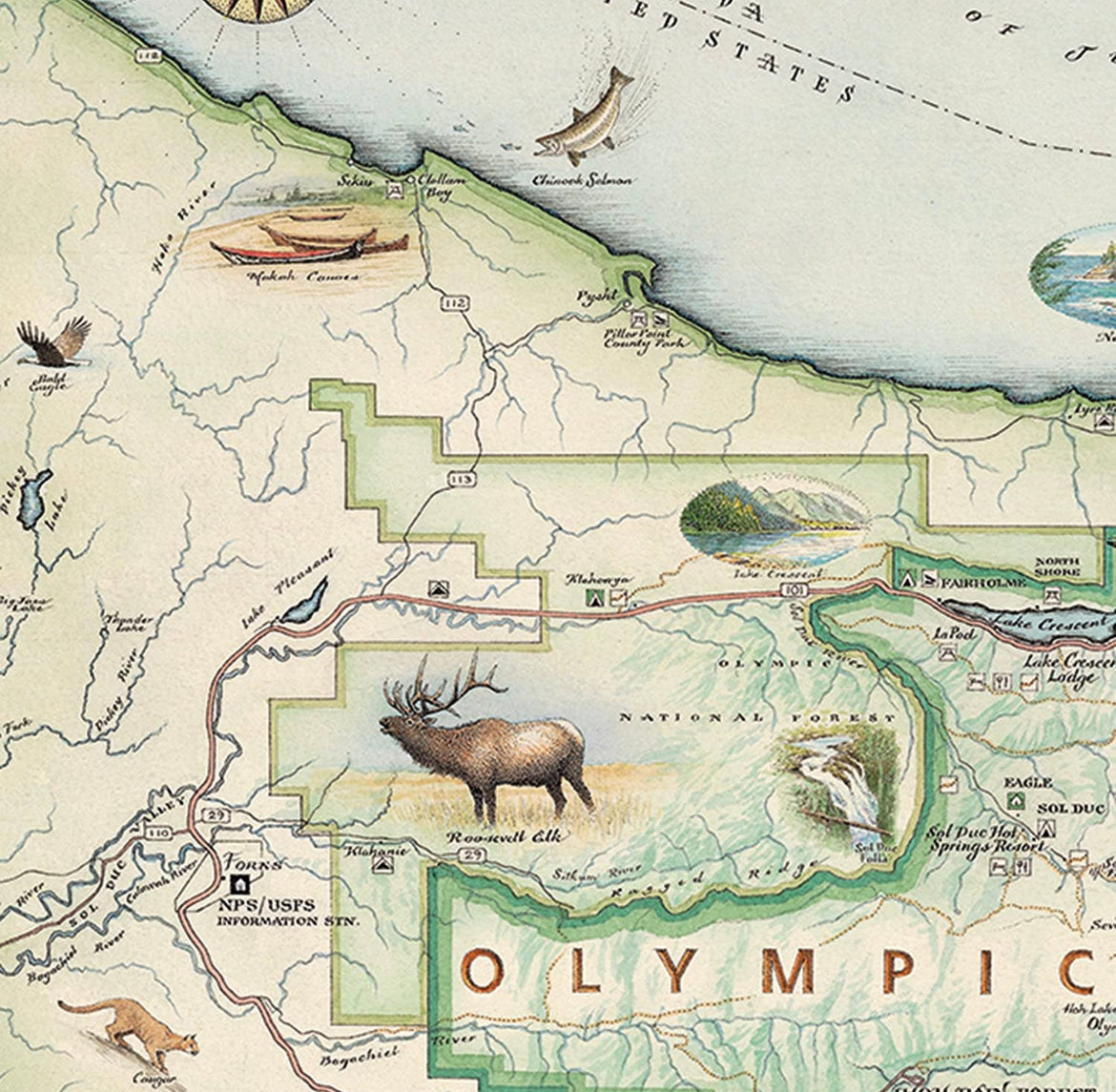 Olympic National Park Wood Postcard