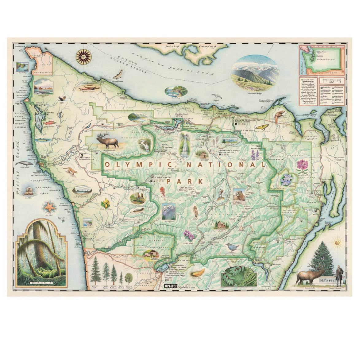 Olympic National Park Map Notecards