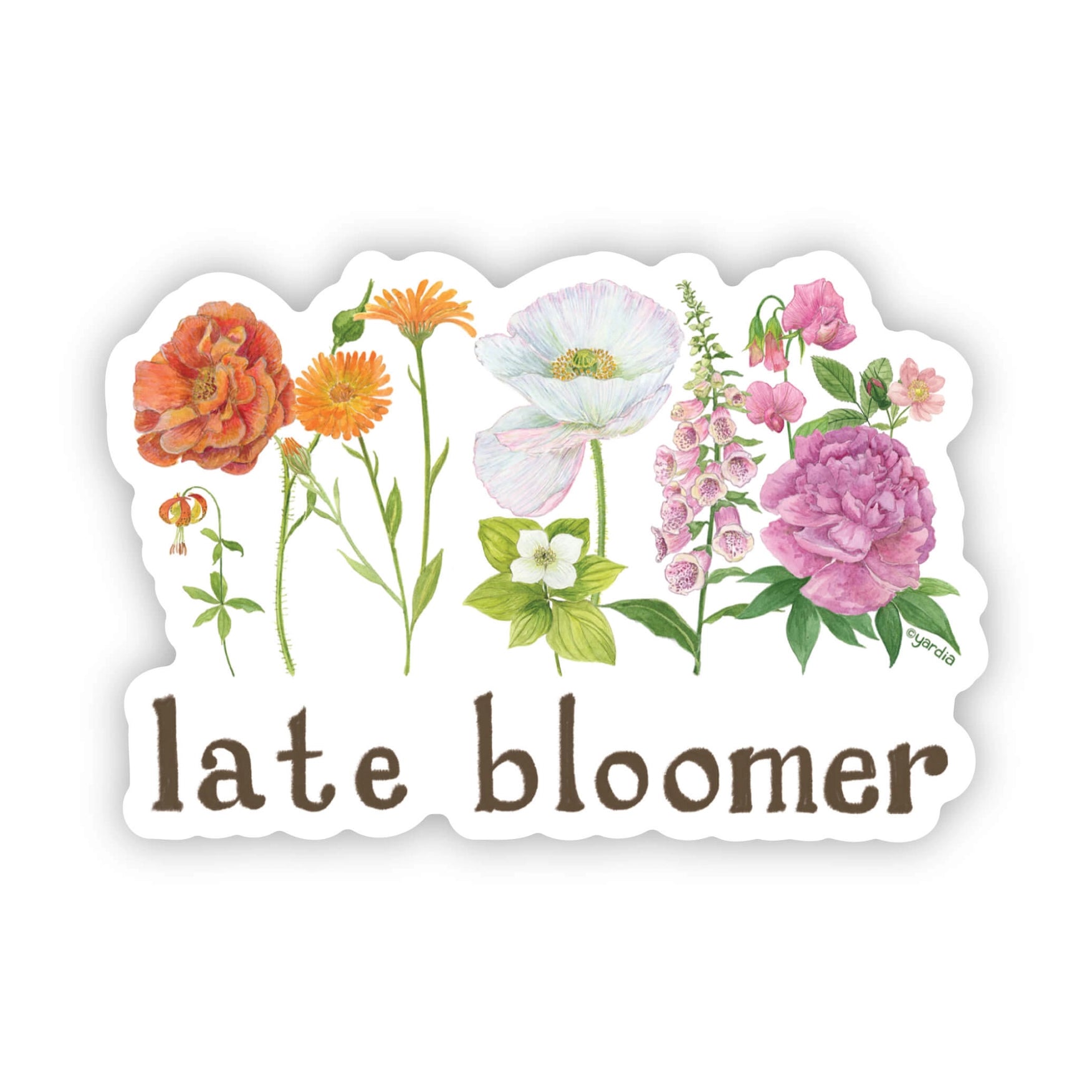 Late Bloomer Sticker