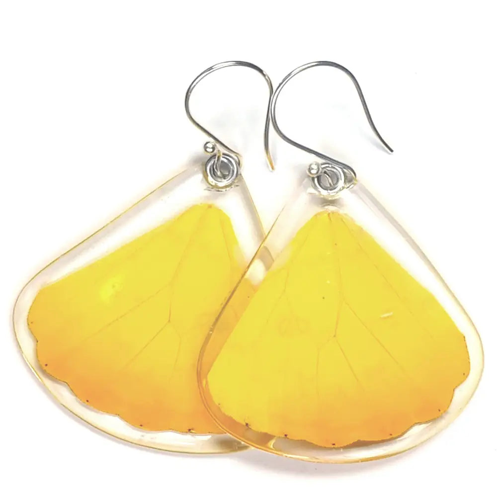 Orange Barred Sulphur Bottom Wings Butterfly Earrings