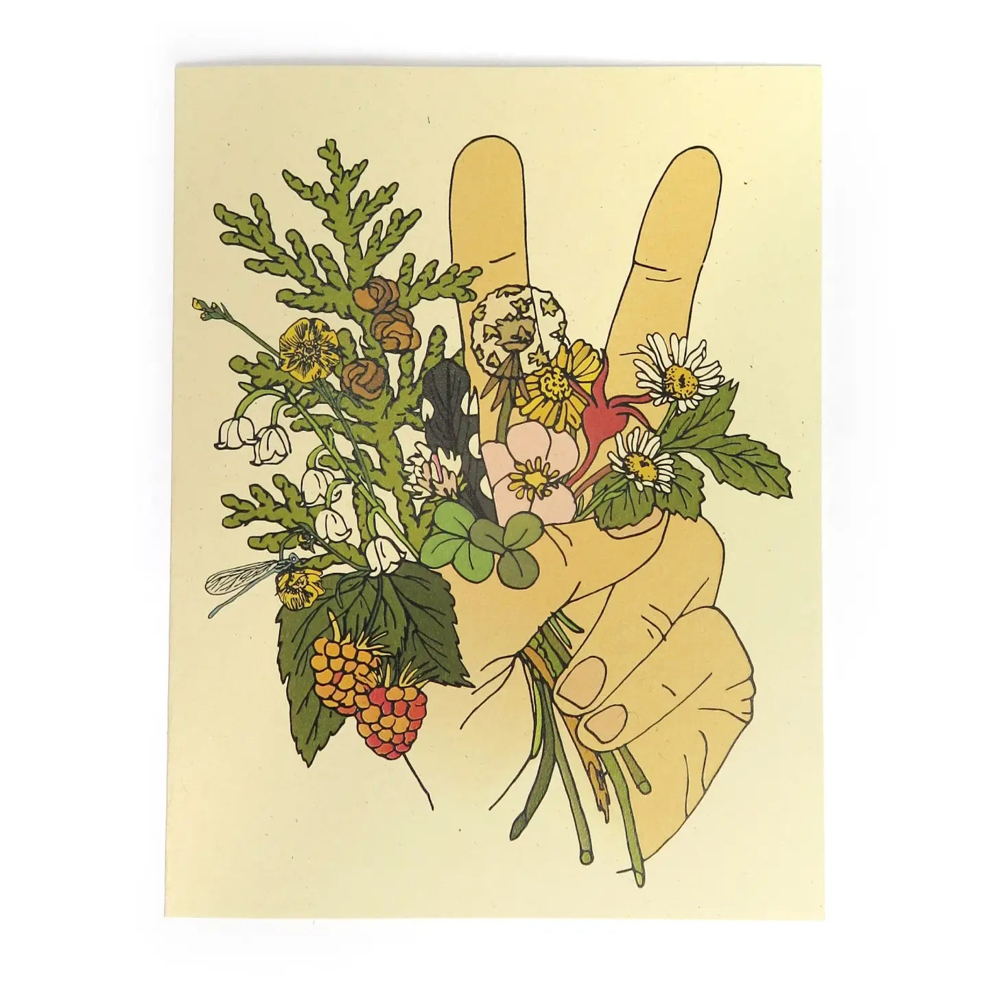 Peace Handful Flowers