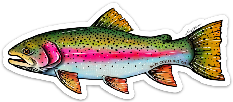 Rainbow Trout Decal
