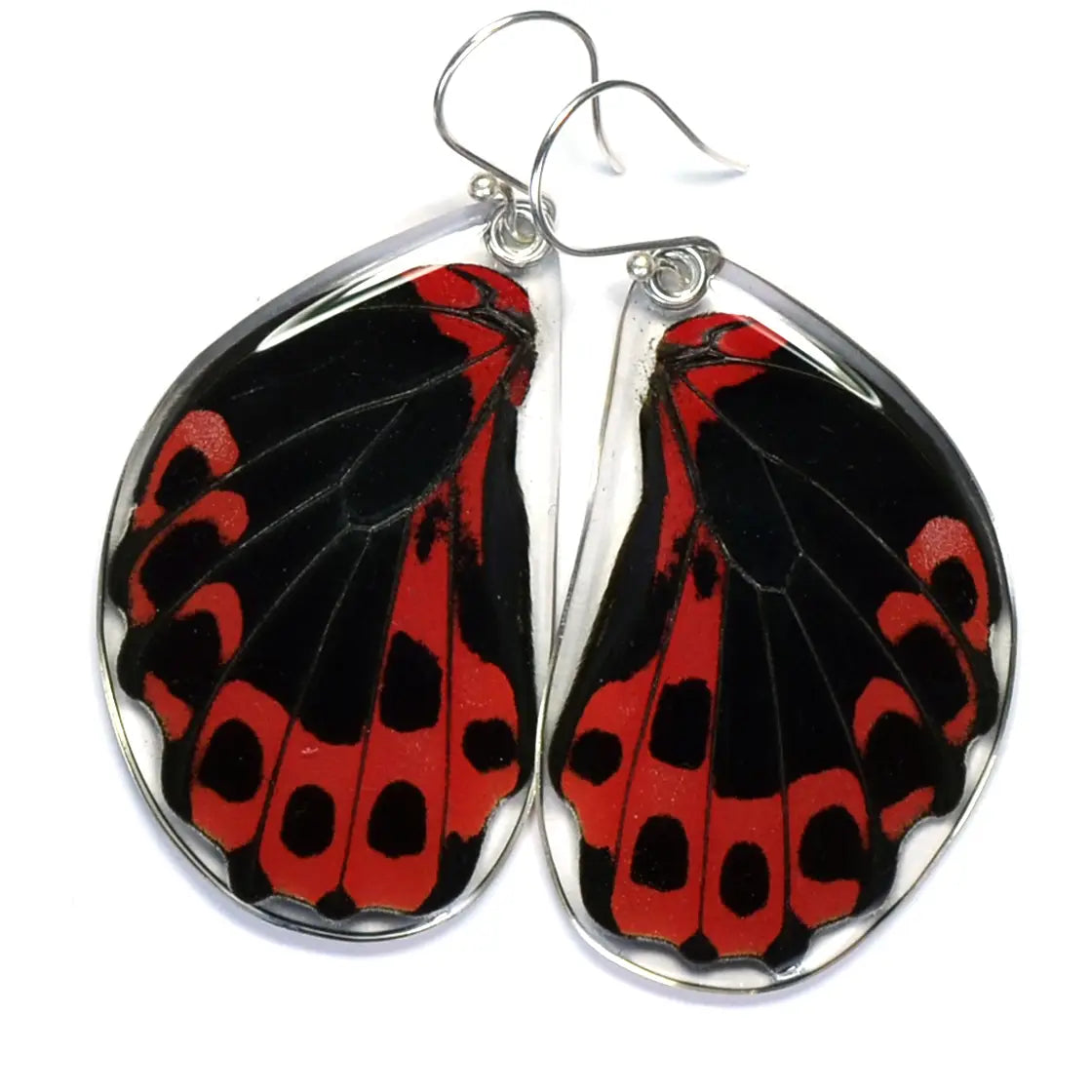 Scarlet Mormon Bottom Wings Butterfly Earrings