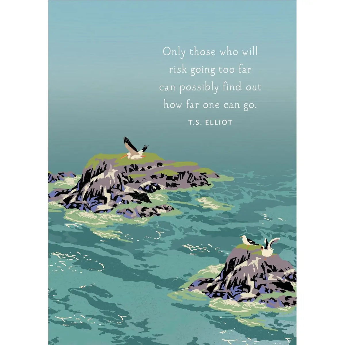 Seagulls Blank Card