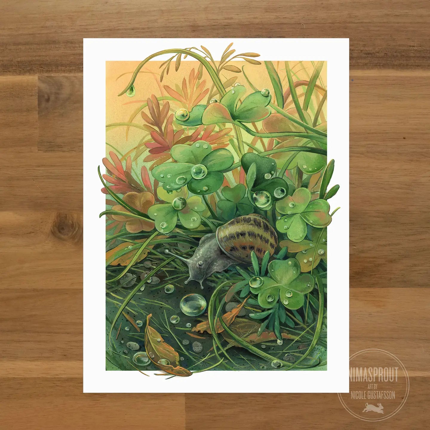 Garden Snail - Fine Art Print