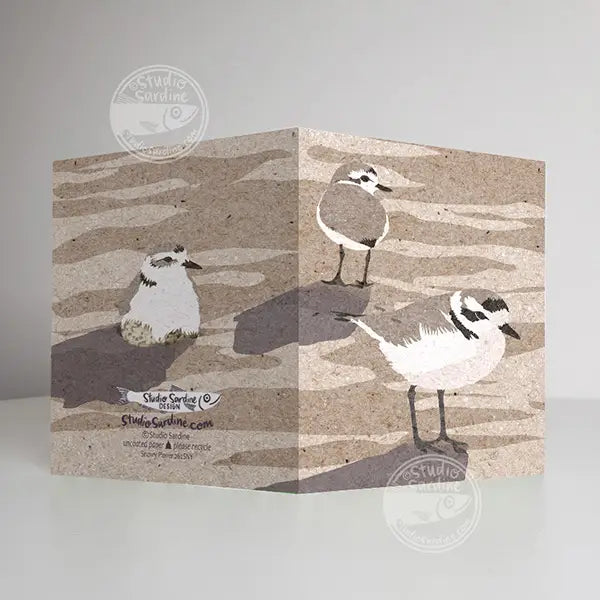 Snowy Plover Birds Notecard