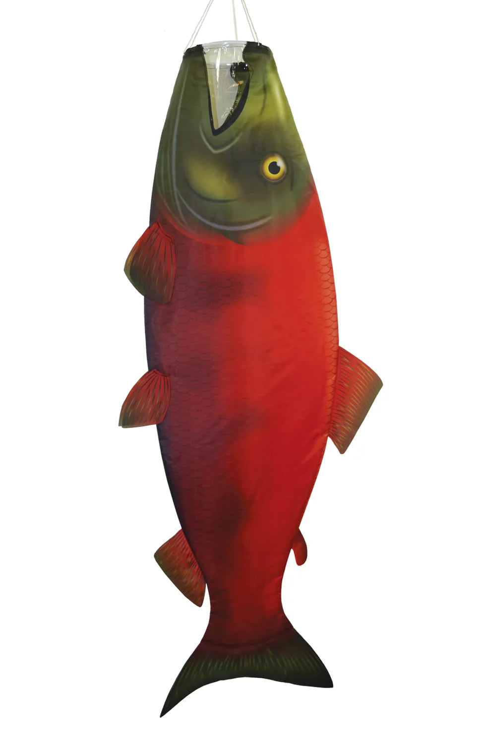 Sockeye Salmon 48"